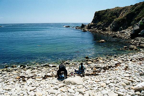 Gerstle Cove