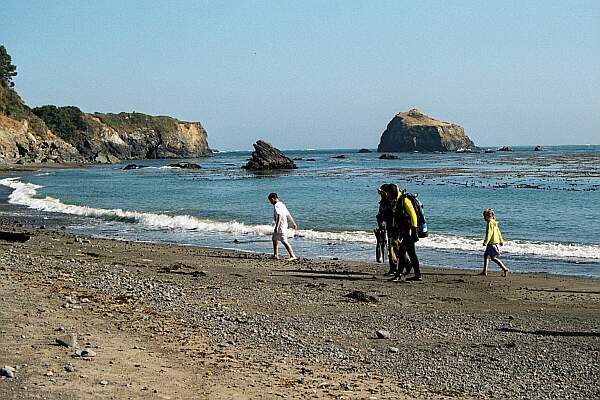 Van Damme State Park