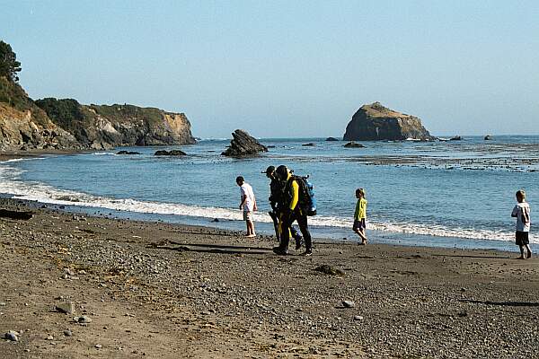 Van Damme State Park