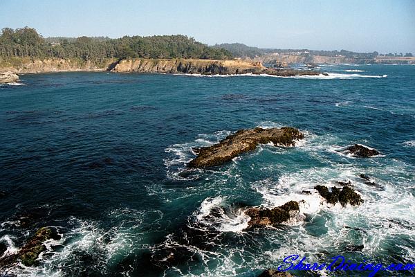 Russian Gulch State Park