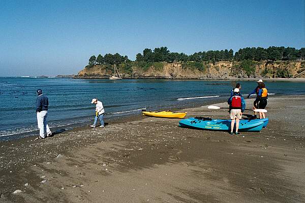 Van Damme State Park