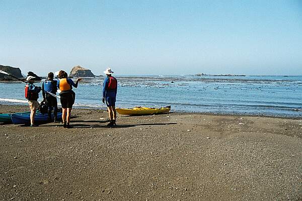 Van Damme State Park