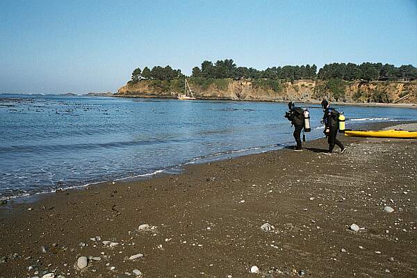 Van Damme State Park