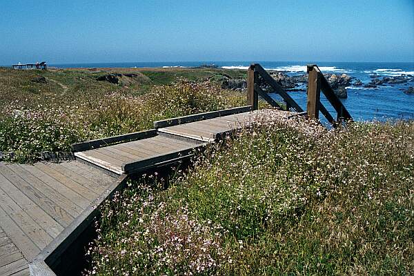 Mackerricher State Park