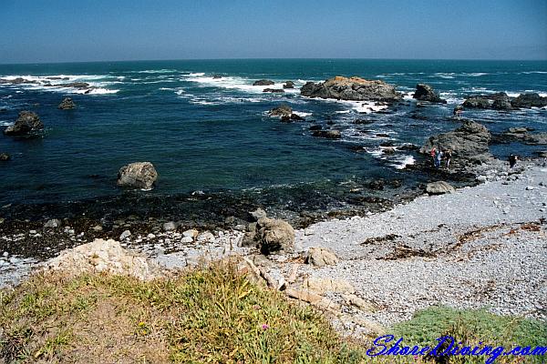 Mackerricher State Park