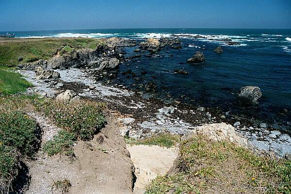 Mackerricher State Park