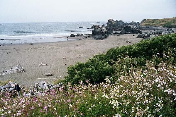 Twin Rocks (Lone Ranch)