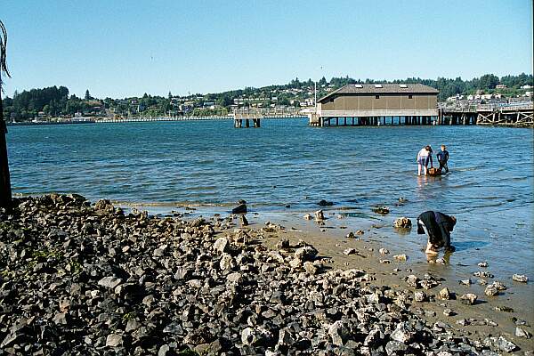 Wacoma Dock