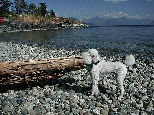 Telegraph Cove