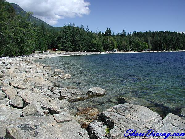 Octopus City (Saltery Bay Boat Launch)