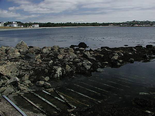 Clover Point