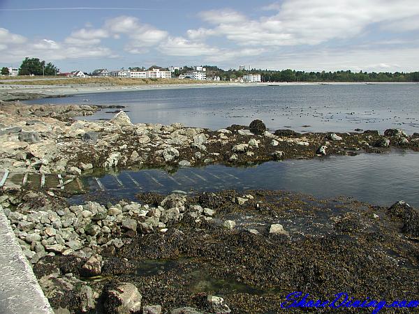 Clover Point