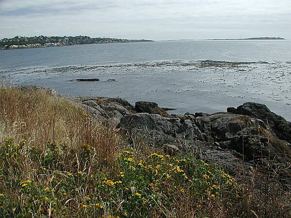 Clover Point