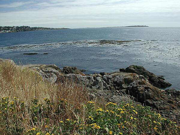 Clover Point