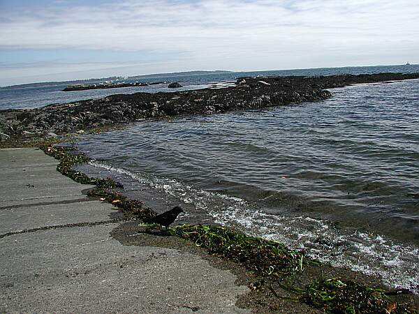 Cattle Point Park