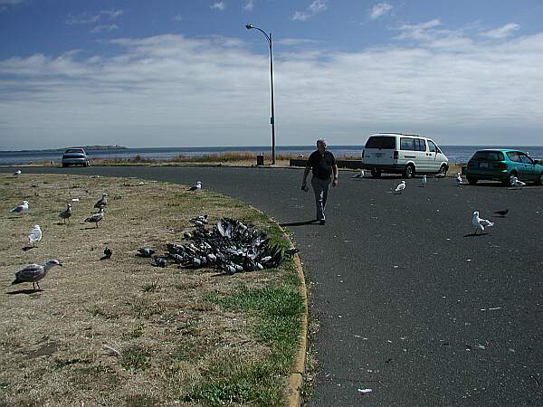 Clover Point