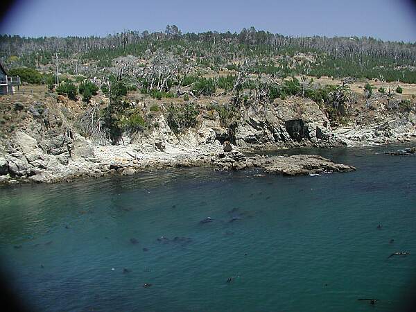 Gerstle Cove