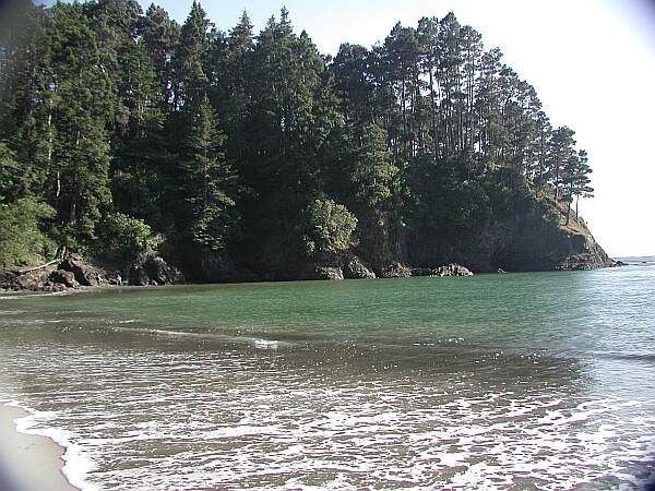 Russian Gulch State Park