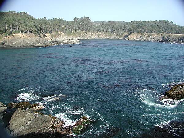 Russian Gulch State Park