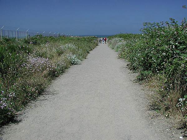 Glass Beach