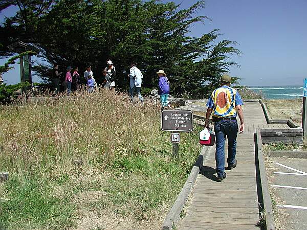 Mackerricher State Park