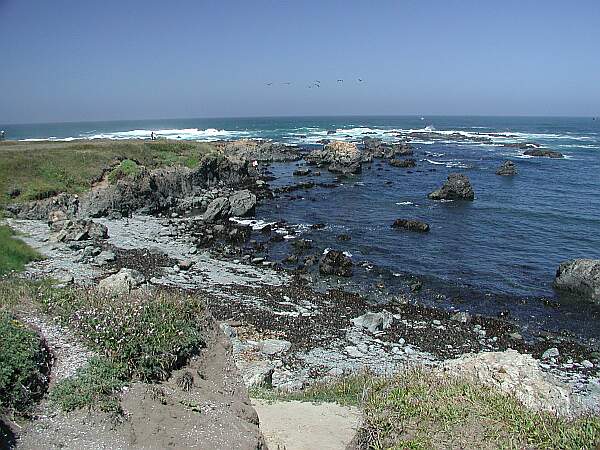 Mackerricher State Park