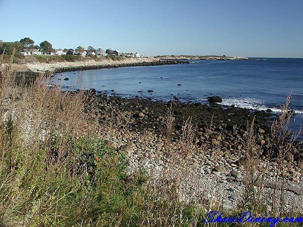 Whale Cove