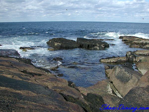 Halibut Point