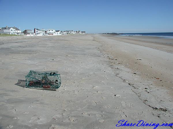 Sea Brook Beach