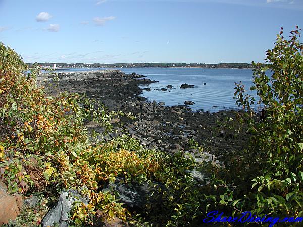 Great Island Commons