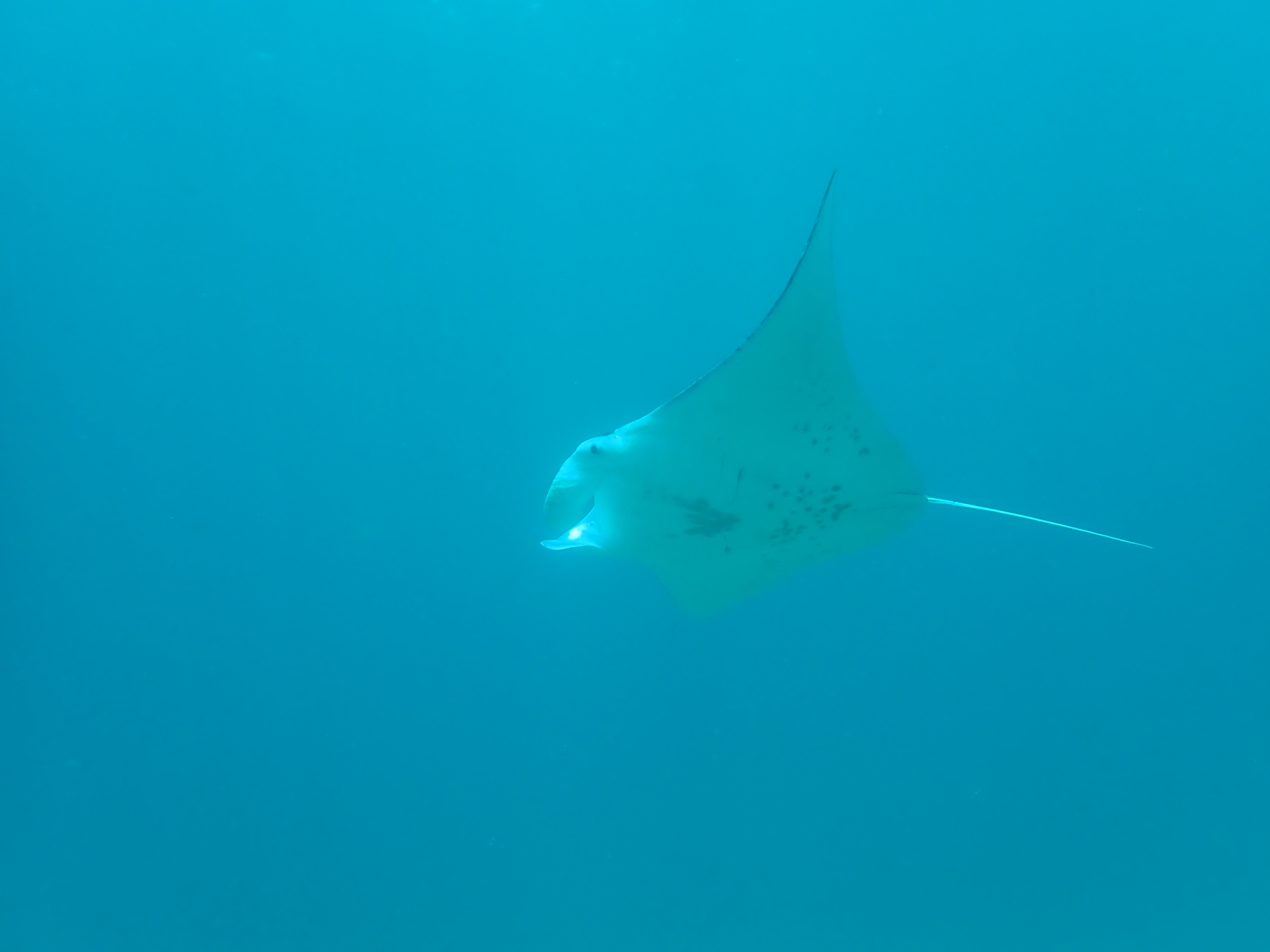 Makena Landing